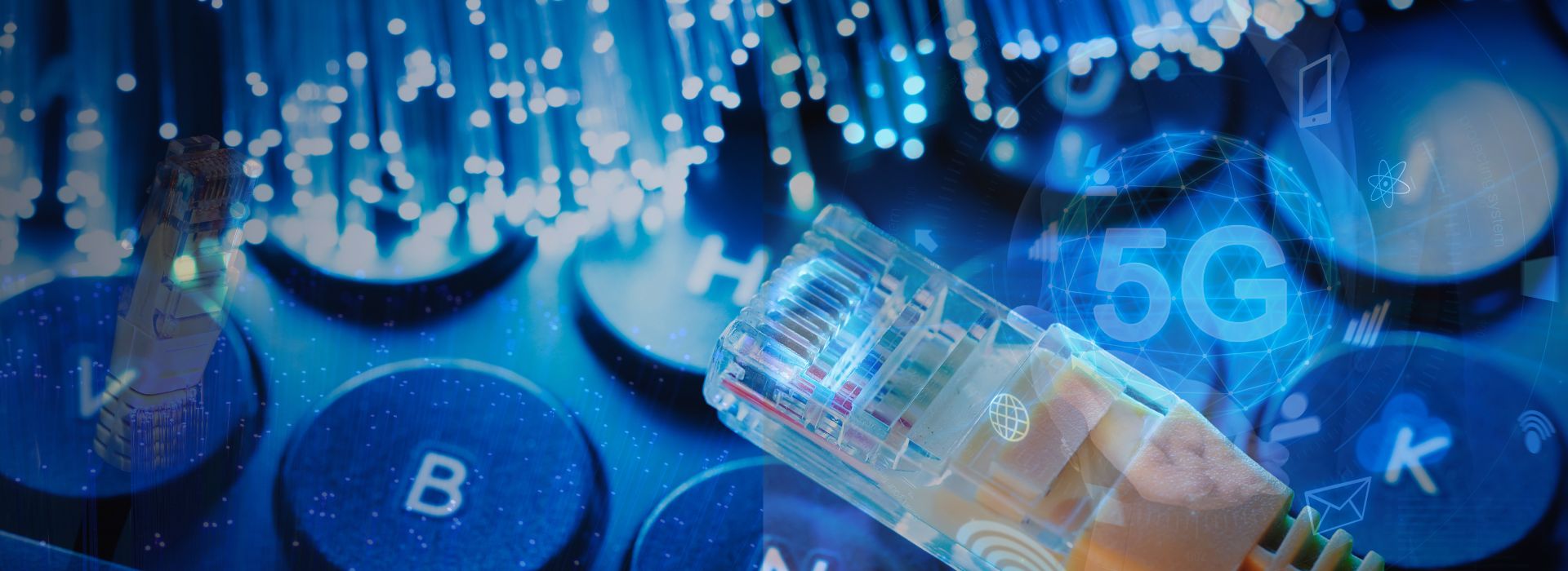 Fibre Trends